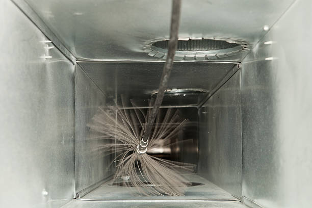 Best Air Duct Mold Removal  in Salem Lakes, WI